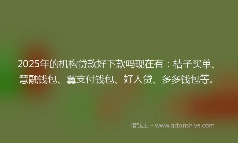 2025年的机构贷款好下款吗现在有：桔子买单、慧融钱包、翼支付钱包、好人贷、多多钱包等。