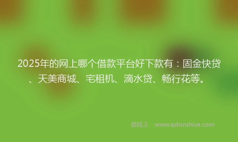2025年的网上哪个借款平台好下款有：固金快贷、天美商城、宅租机、滴水贷、畅行花等。