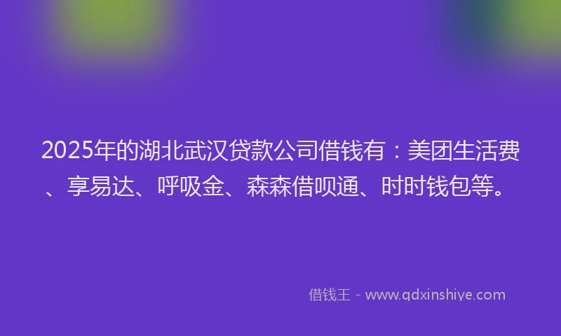 2025年的湖北武汉贷款公司借钱有：美团生活费、享易达、呼吸金、森森借呗通、时时钱包等。