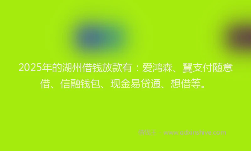 2025年的湖州借钱放款有：爱鸿森、翼支付随意借、信融钱包、现金易贷通、想借等。