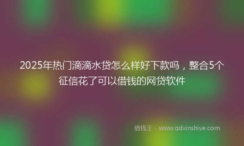 2025年热门滴滴水贷怎么样好下款吗，整合5个征信花了可以借钱的网贷软件