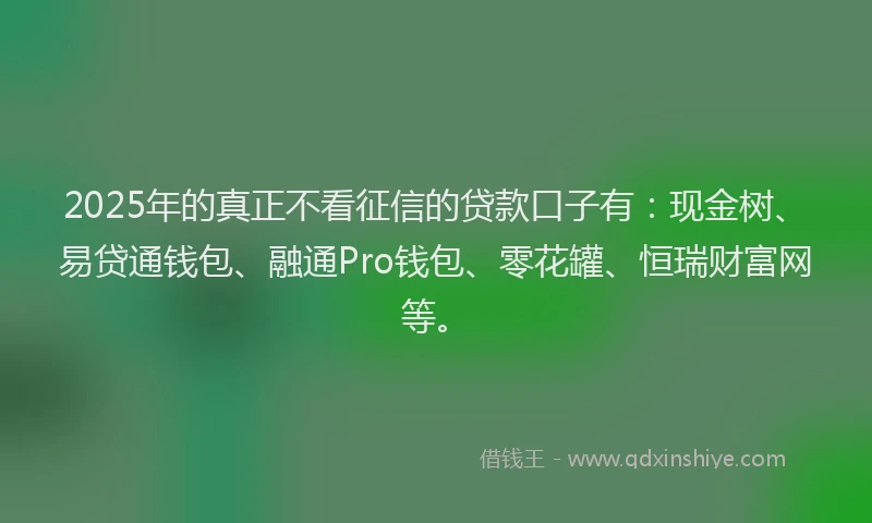2025年的真正不看征信的贷款口子有：现金树、易贷通钱包、融通Pro钱包、零花罐、恒瑞财富网等。