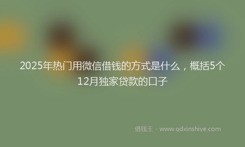 2025年热门用微信借钱的方式是什么，概括5个12月独家贷款的口子