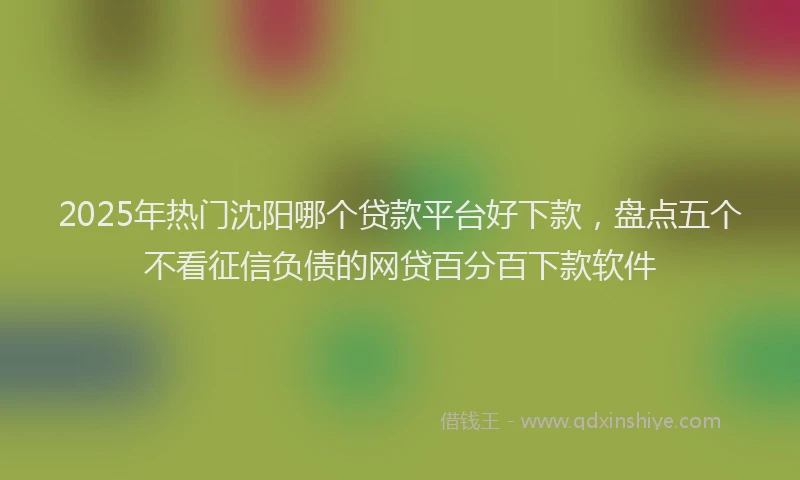 2025年热门沈阳哪个贷款平台好下款，盘点五个不看征信负债的网贷百分百下款软件