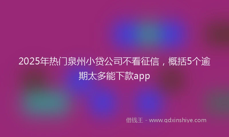 2025年热门泉州小贷公司不看征信，概括5个逾期太多能下款app