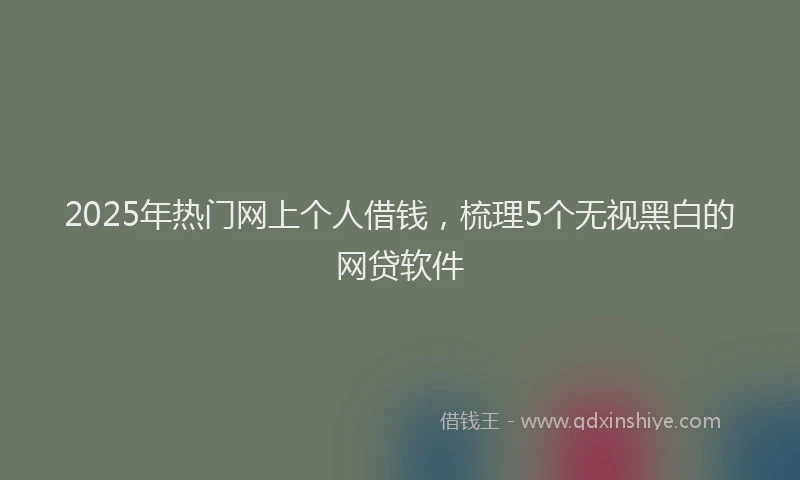 2025年热门网上个人借钱，梳理5个无视黑白的网贷软件
