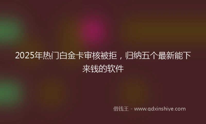 2025年热门白金卡审核被拒，归纳五个最新能下来钱的软件