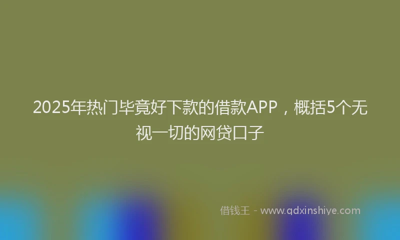 2025年热门毕竟好下款的借款APP，概括5个无视一切的网贷口子
