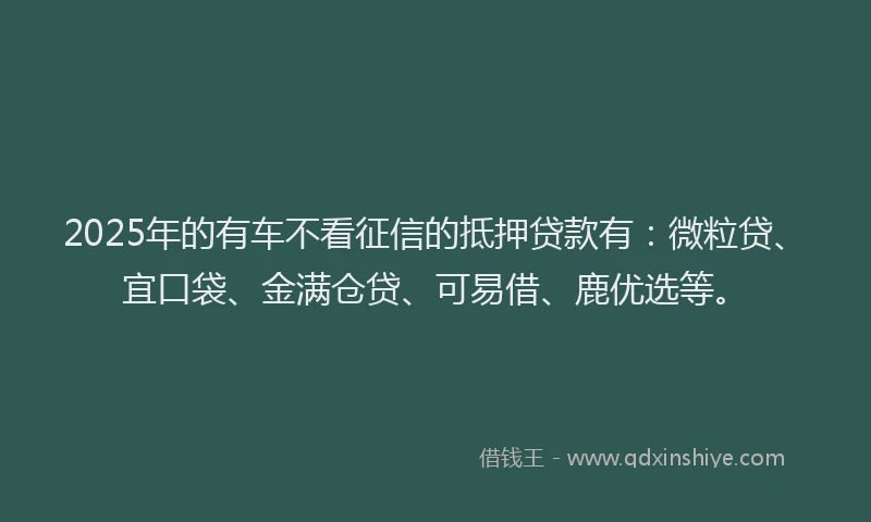 2025年的有车不看征信的抵押贷款有：微粒贷、宜口袋、金满仓贷、可易借、鹿优选等。