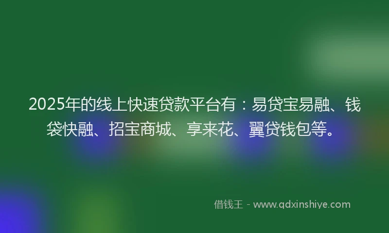 2025年的线上快速贷款平台有：易贷宝易融、钱袋快融、招宝商城、享来花、翼贷钱包等。