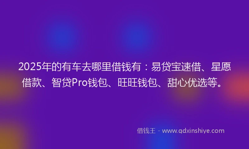 2025年的有车去哪里借钱有：易贷宝速借、星愿借款、智贷Pro钱包、旺旺钱包、甜心优选等。