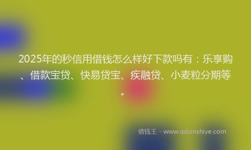 2025年的秒信用借钱怎么样好下款吗有：乐享购、借款宝贷、快易贷宝、疾融贷、小麦粒分期等。