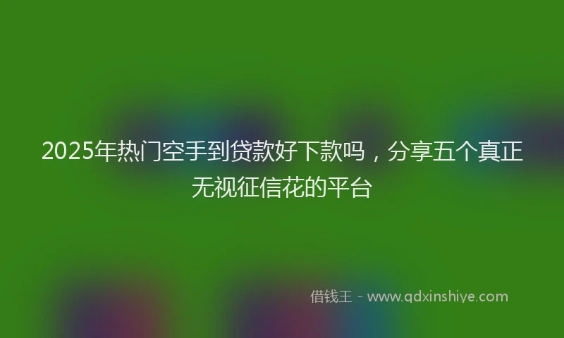 2025年热门空手到贷款好下款吗，分享五个真正无视征信花的平台