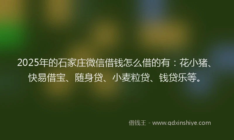 2025年的石家庄微信借钱怎么借的有：花小猪、快易借宝、随身贷、小麦粒贷、钱贷乐等。