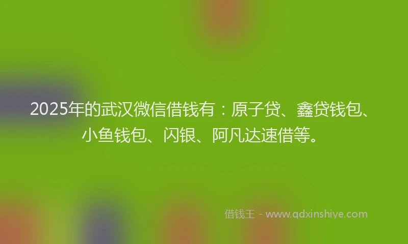 2025年的武汉微信借钱有：原子贷、鑫贷钱包、小鱼钱包、闪银、阿凡达速借等。
