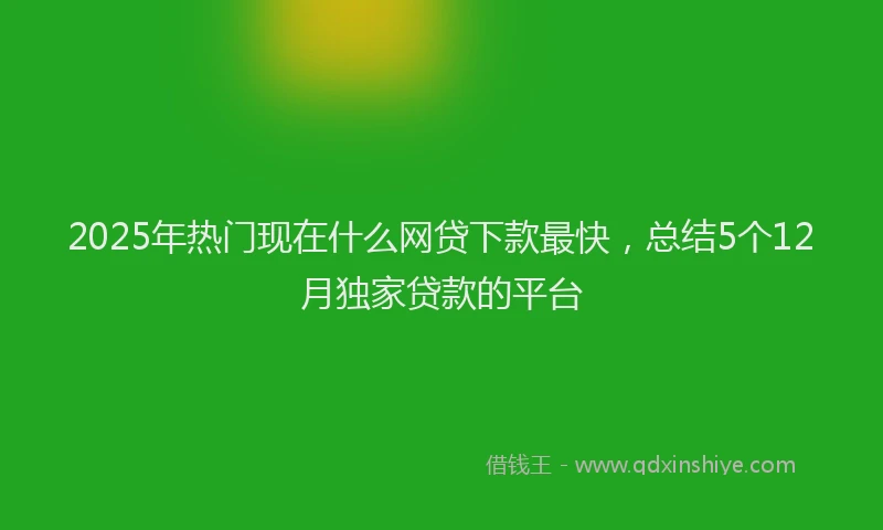 2025年热门现在什么网贷下款最快，总结5个12月独家贷款的平台