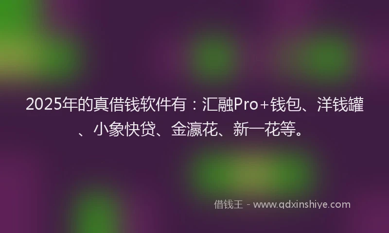 2025年的真借钱软件有：汇融Pro+钱包、洋钱罐、小象快贷、金瀛花、新一花等。