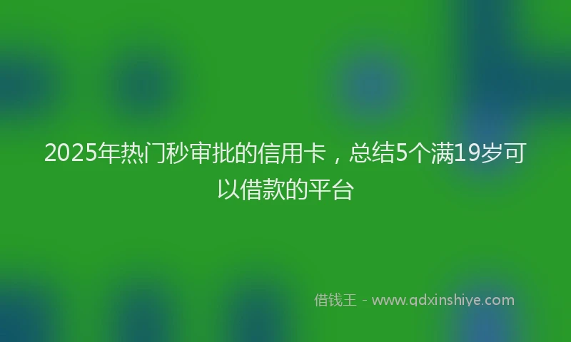 2025年热门秒审批的信用卡，总结5个满19岁可以借款的平台