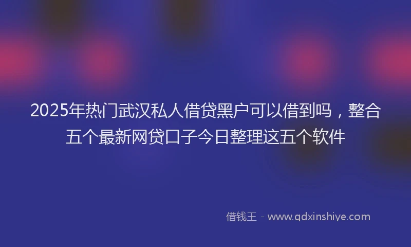 2025年热门武汉私人借贷黑户可以借到吗，整合五个最新网贷口子今日整理这五个软件