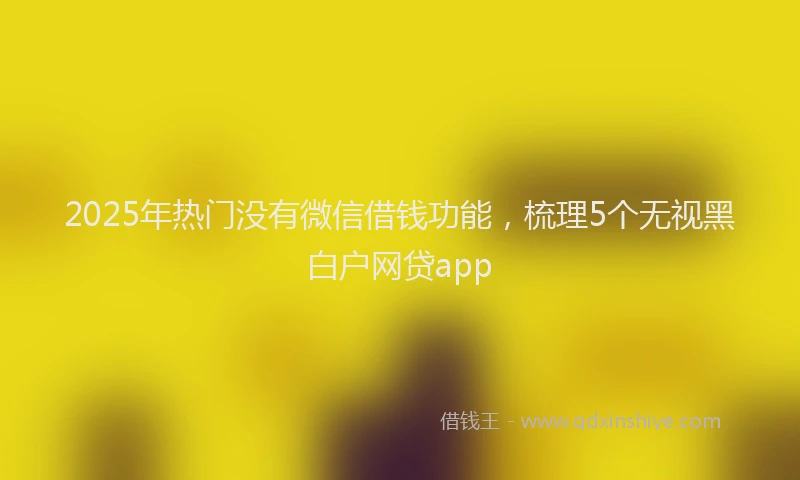 2025年热门没有微信借钱功能，梳理5个无视黑白户网贷app