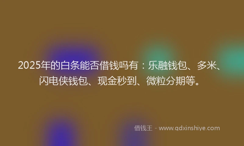2025年的白条能否借钱吗有：乐融钱包、多米、闪电侠钱包、现金秒到、微粒分期等。