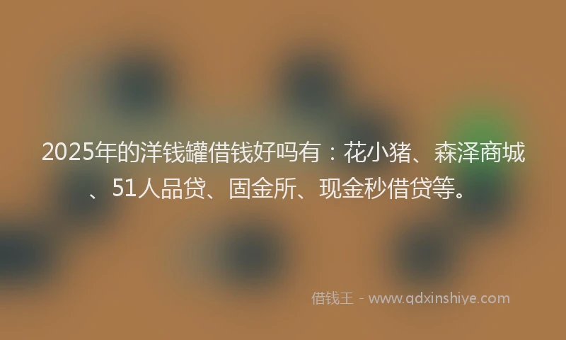 2025年的洋钱罐借钱好吗有：花小猪、森泽商城、51人品贷、固金所、现金秒借贷等。