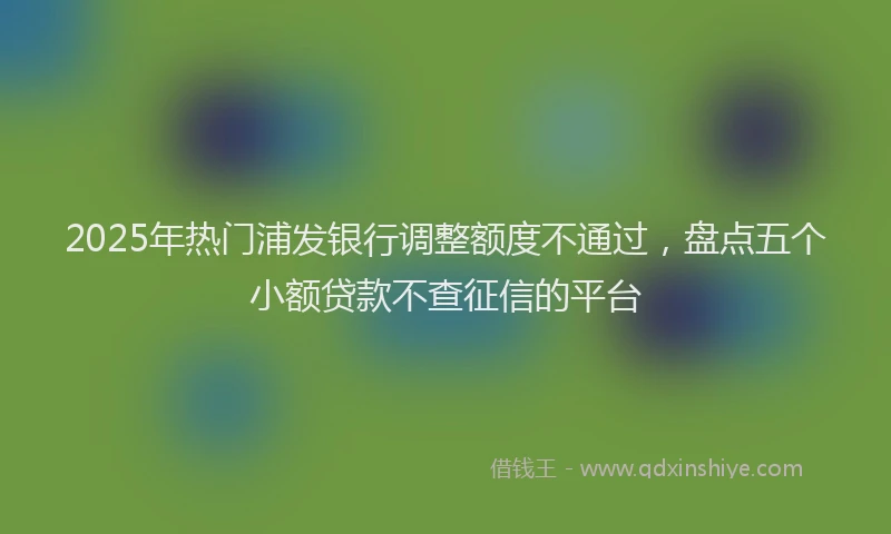 2025年热门浦发银行调整额度不通过，盘点五个小额贷款不查征信的平台