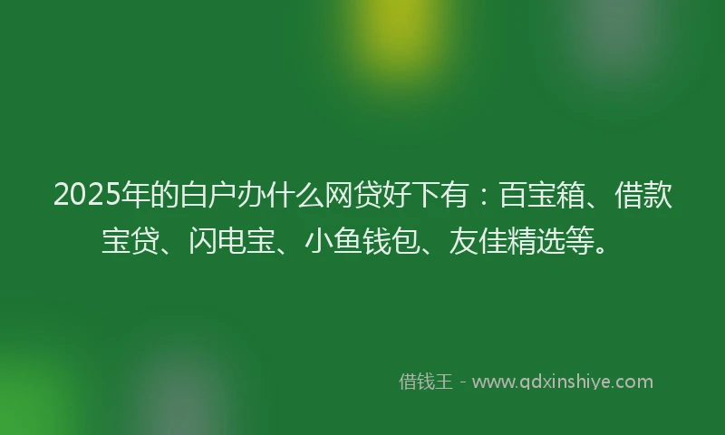 2025年的白户办什么网贷好下有：百宝箱、借款宝贷、闪电宝、小鱼钱包、友佳精选等。