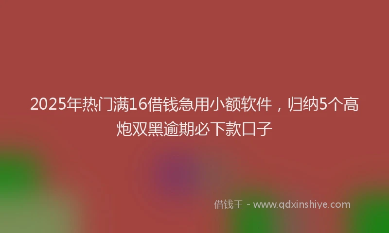 2025年热门满16借钱急用小额软件，归纳5个高炮双黑逾期必下款口子