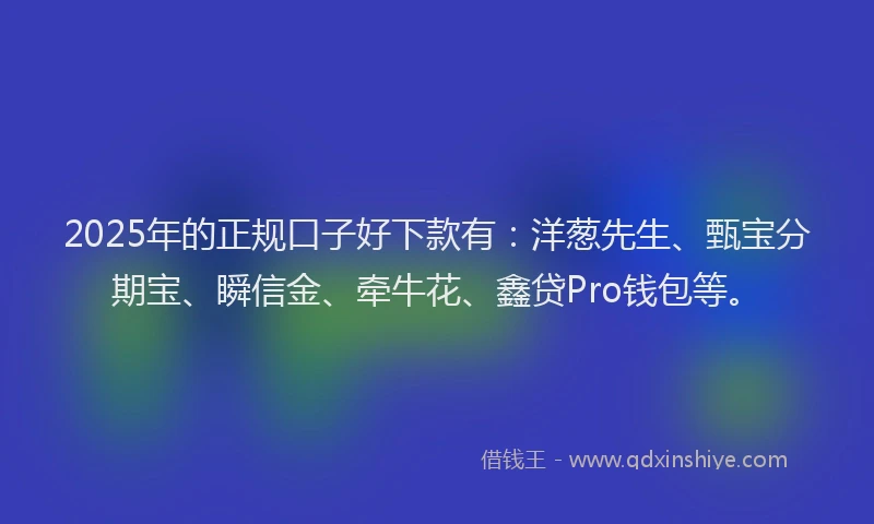 2025年的正规口子好下款有：洋葱先生、甄宝分期宝、瞬信金、牵牛花、鑫贷Pro钱包等。