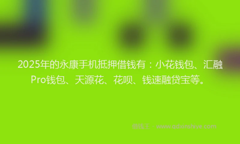 2025年的永康手机抵押借钱有：小花钱包、汇融Pro钱包、天源花、花呗、钱速融贷宝等。