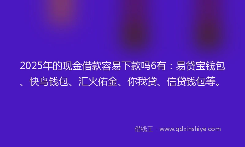 2025年的现金借款容易下款吗6有：易贷宝钱包、快鸟钱包、汇火佑金、你我贷、信贷钱包等。