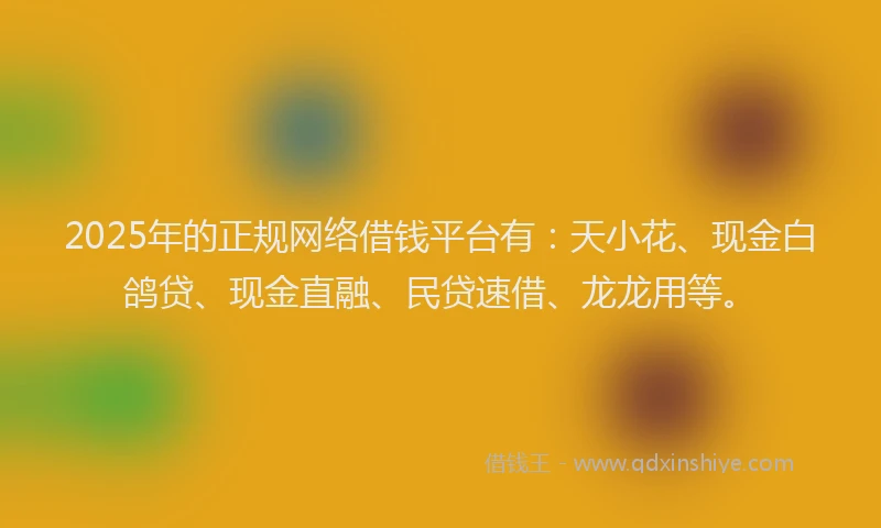 2025年的正规网络借钱平台有：天小花、现金白鸽贷、现金直融、民贷速借、龙龙用等。