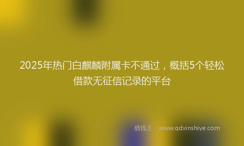 2025年热门白麒麟附属卡不通过，概括5个轻松借款无征信记录的平台