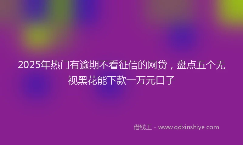 2025年热门有逾期不看征信的网贷，盘点五个无视黑花能下款一万元口子