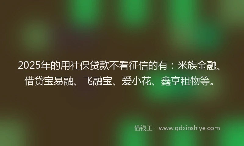 2025年的用社保贷款不看征信的有：米族金融、借贷宝易融、飞融宝、爱小花、鑫享租物等。