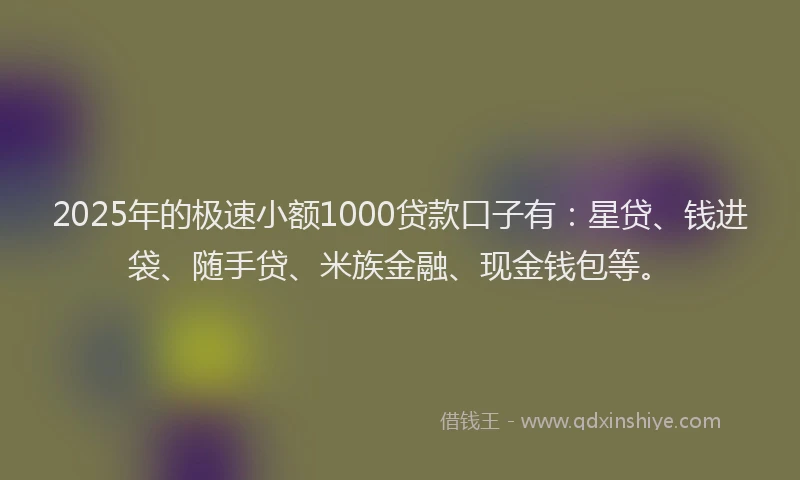 2025年的极速小额1000贷款口子有：星贷、钱进袋、随手贷、米族金融、现金钱包等。