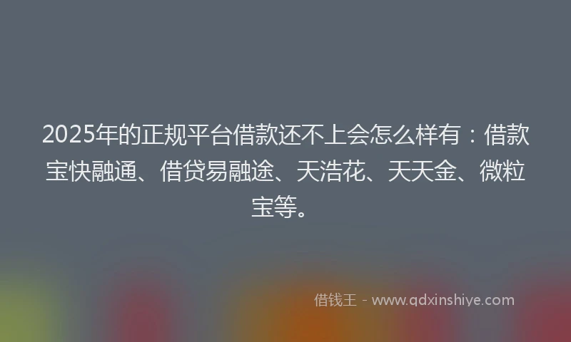 2025年的正规平台借款还不上会怎么样有：借款宝快融通、借贷易融途、天浩花、天天金、微粒宝等。