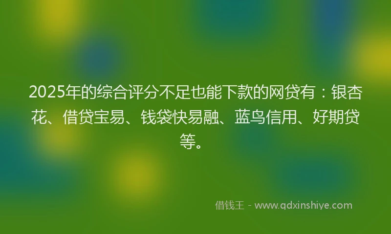 2025年的综合评分不足也能下款的网贷有：银杏花、借贷宝易、钱袋快易融、蓝鸟信用、好期贷等。