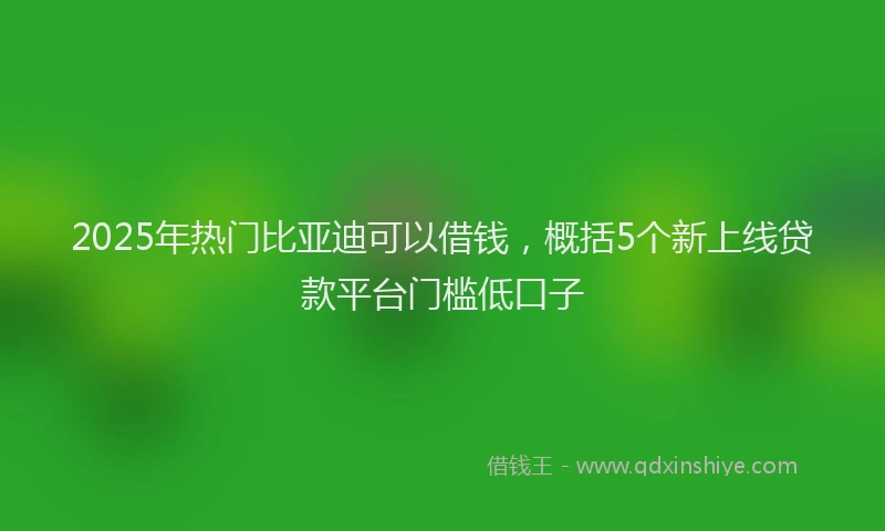 2025年热门比亚迪可以借钱，概括5个新上线贷款平台门槛低口子