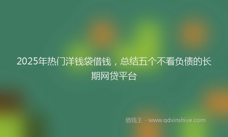 2025年热门洋钱袋借钱，总结五个不看负债的长期网贷平台