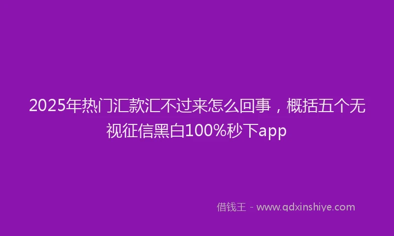 2025年热门汇款汇不过来怎么回事，概括五个无视征信黑白100%秒下app