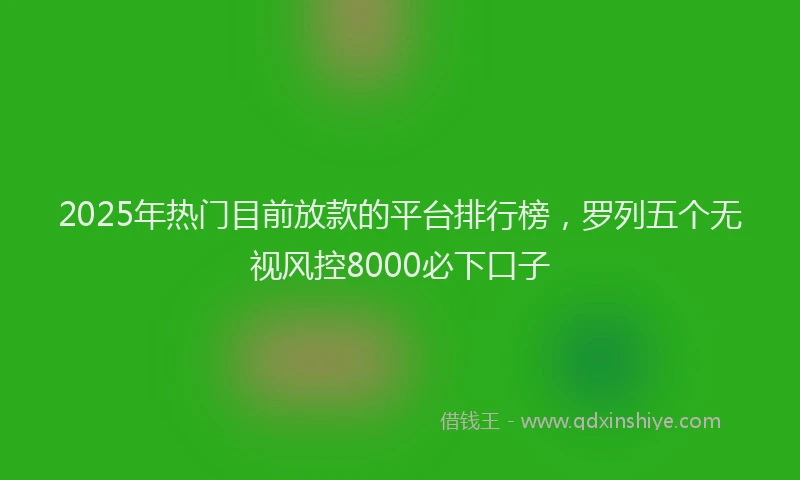 2025年热门目前放款的平台排行榜，罗列五个无视风控8000必下口子