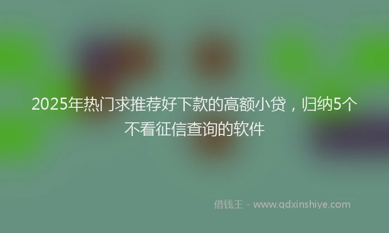 2025年热门求推荐好下款的高额小贷，归纳5个不看征信查询的软件