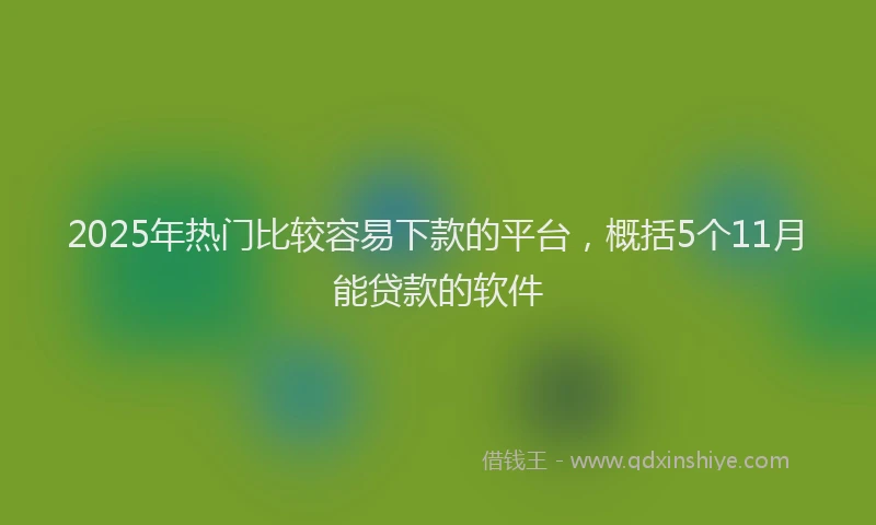 2025年热门比较容易下款的平台，概括5个11月能贷款的软件