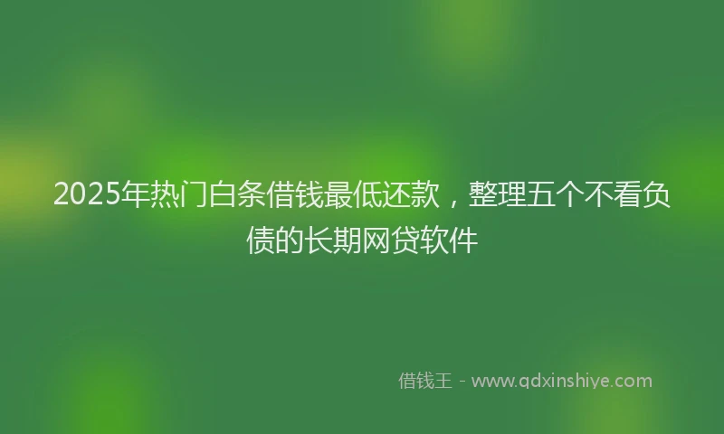 2025年热门白条借钱最低还款，整理五个不看负债的长期网贷软件
