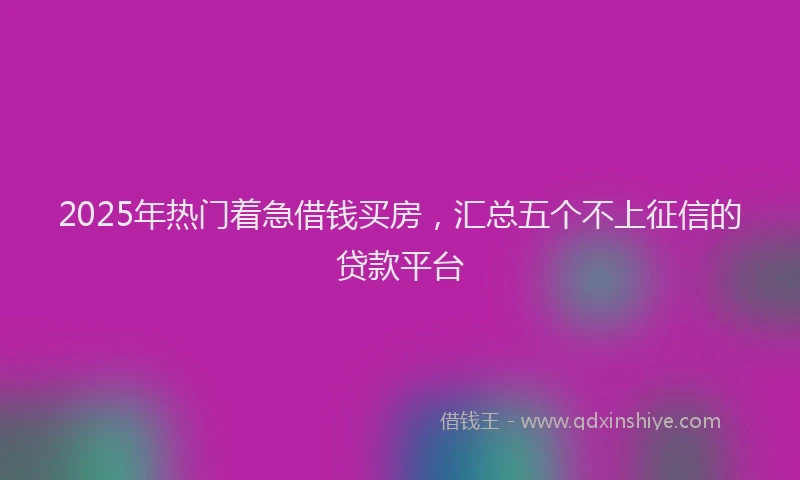 2025年热门着急借钱买房，汇总五个不上征信的贷款平台