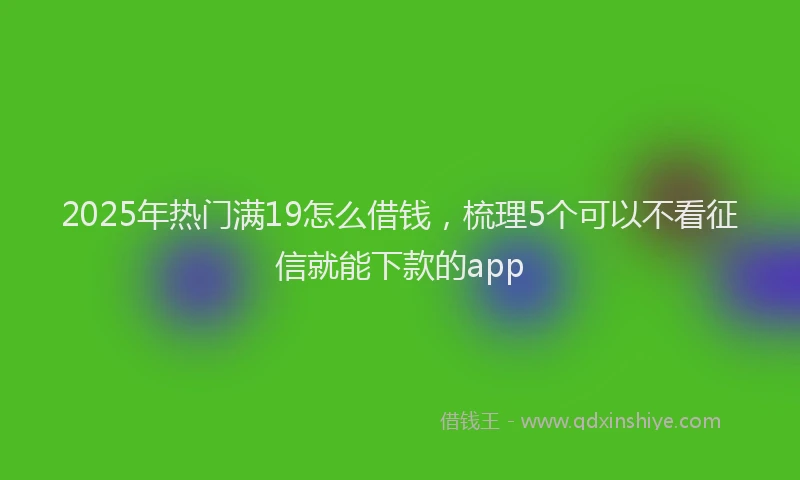 2025年热门满19怎么借钱，梳理5个可以不看征信就能下款的app