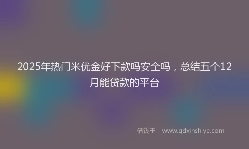 2025年热门米优金好下款吗安全吗，总结五个12月能贷款的平台