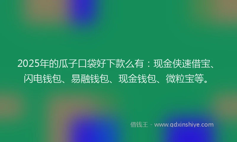 2025年的瓜子口袋好下款么有：现金侠速借宝、闪电钱包、易融钱包、现金钱包、微粒宝等。